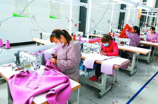 丹陽聯(lián)村黨委實踐 圍繞主導(dǎo)產(chǎn)業(yè)發(fā)展集體經(jīng)濟(jì)，提升農(nóng)副產(chǎn)品競爭力